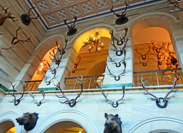 Jagdschloss Granitz - Eingangshalle